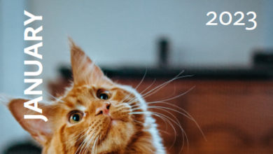 Free Printable Calendars - Cats - January 2023
