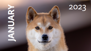 Free Printable Calendar - January 2023 - Dogs