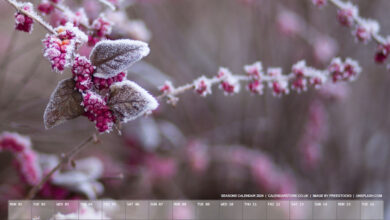 Seasons Calendar - Calendar Store - January 2024