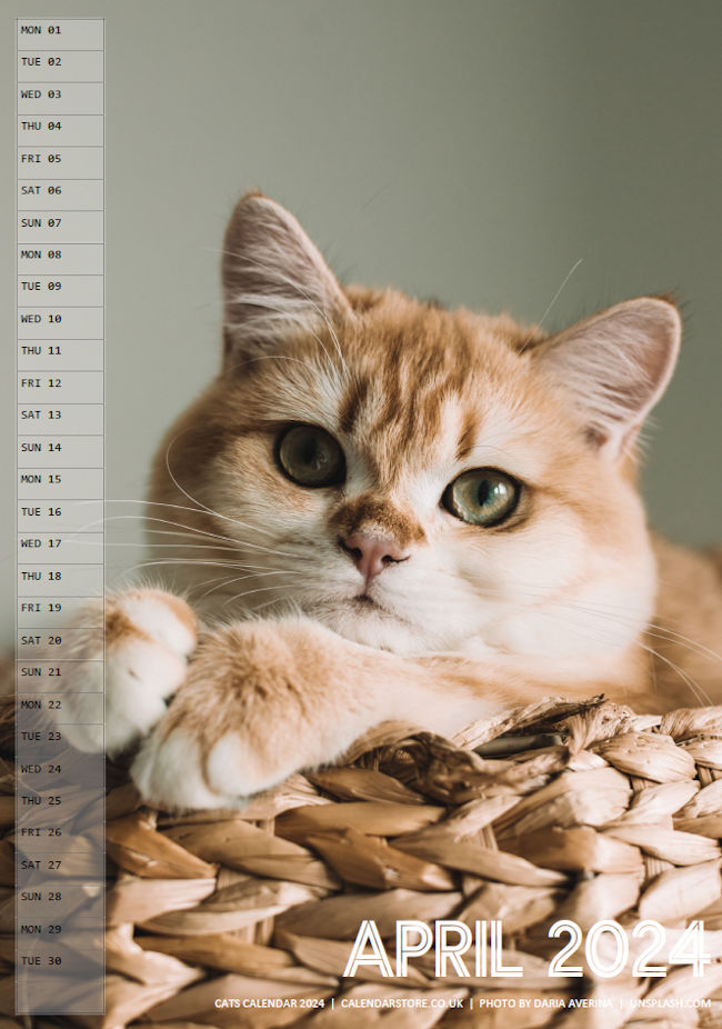 Cats Calendar 2024 - Free to Print