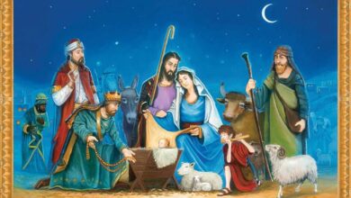 The Nativity Storybook  Advent Calendar