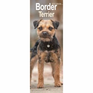 Border Terrier Slim Calendar 2024