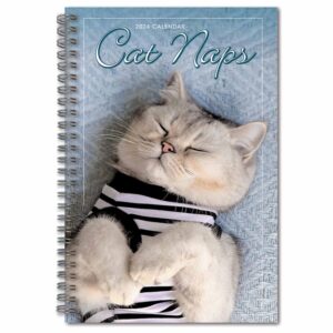 Cat Naps A5 Diary 2024