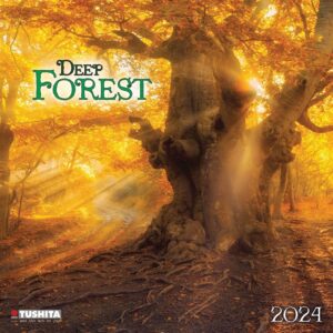 Deep Forest Calendar 2024