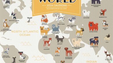 Dogs Of The World Mini Calendar 2024