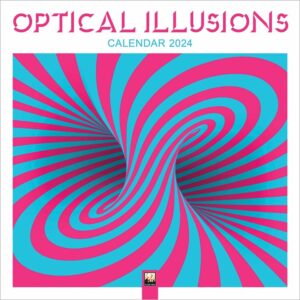 Optical Illusions Calendar 2024