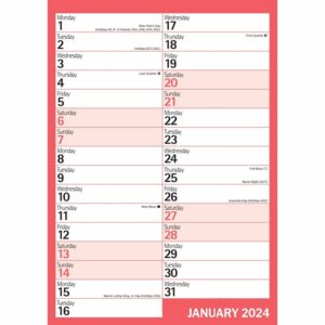 Red & Black Basics A4 Portrait Calendar 2024