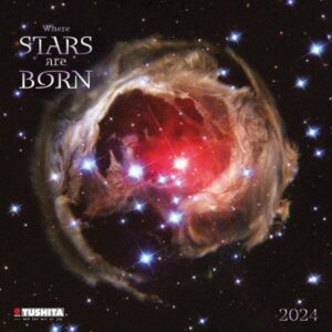 Where Stars Are Born Calendar 2024