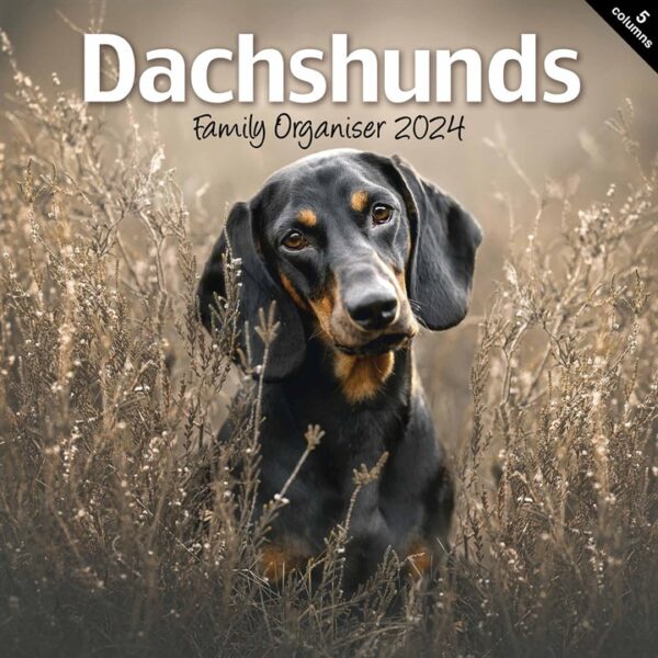 Dachshunds Family Organiser 2024