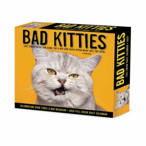 Bad Kitties Desk Calendar 2024