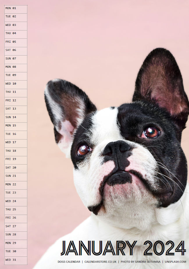 Dogs Calendar 2024 - Free to Print